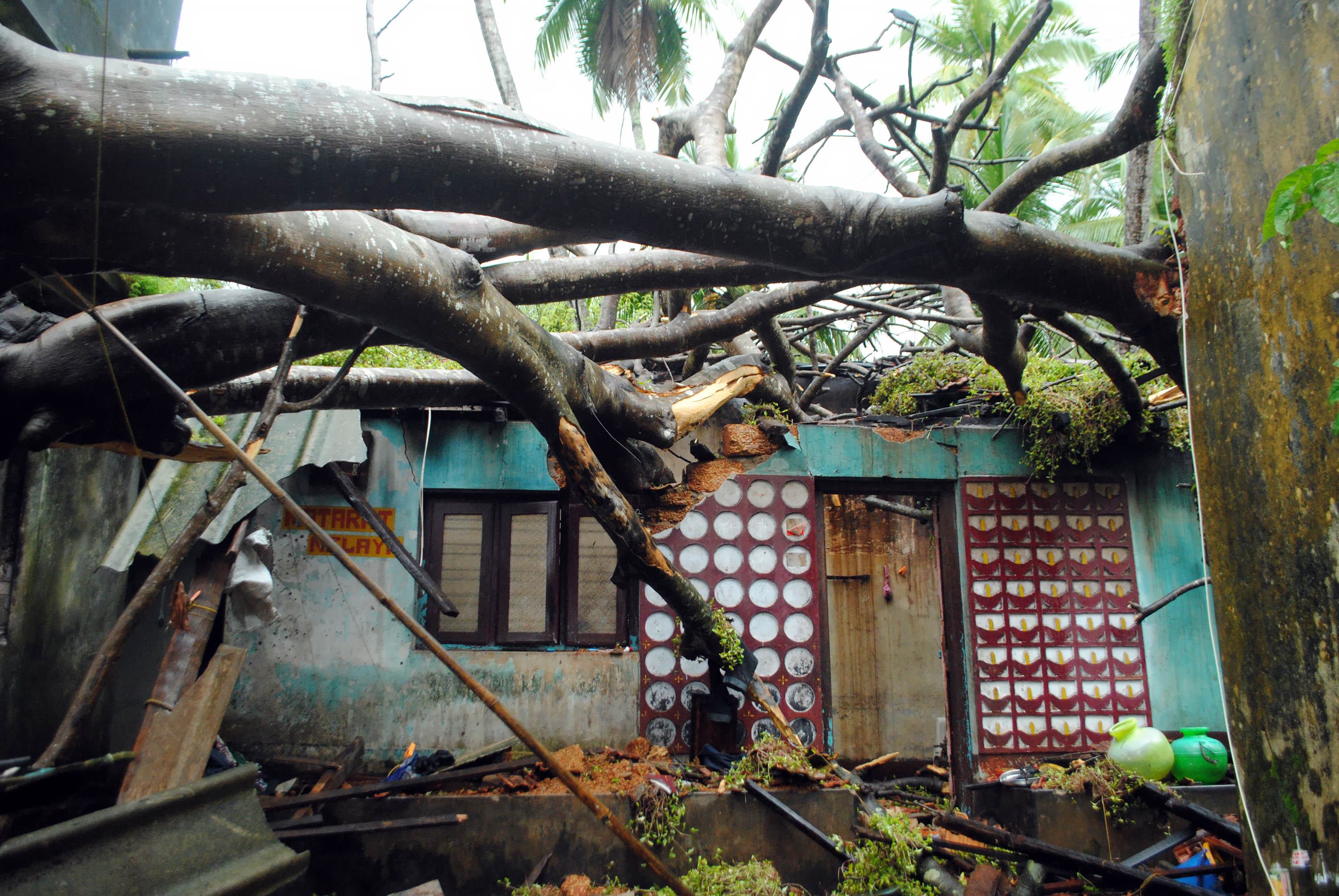 ಗಂಗೊಳ್ಳಿ: ಮನೆ ಮೇಲೆ ಮರ ಬಿದ್ದು ಸಂಪೂರ್ಣ ಹಾನಿ